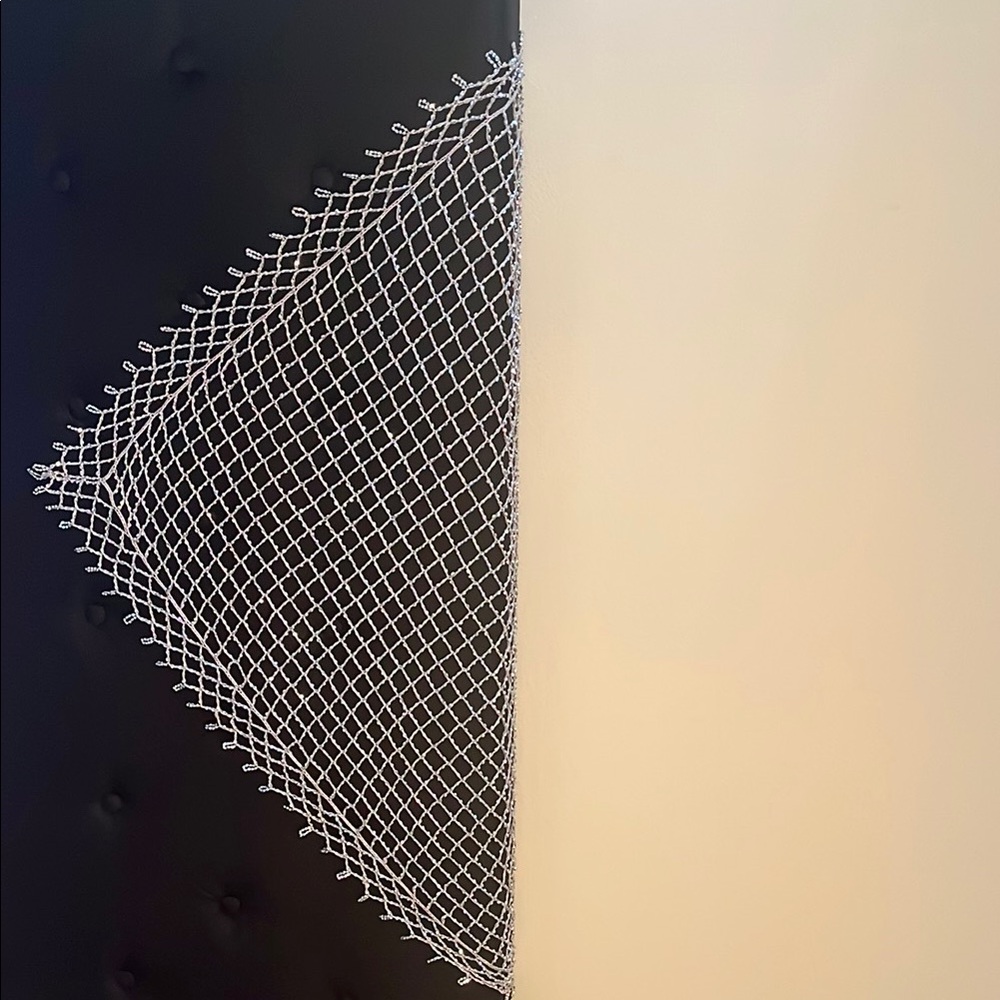 Elegant silver Mesh Veil
